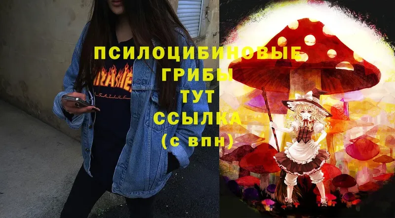 Псилоцибиновые грибы Magic Shrooms  продажа наркотиков  Озёры 